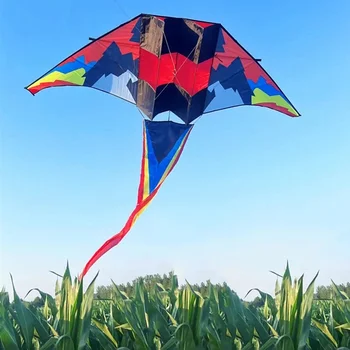 Tasuta Kohaletoimetamine suur purilennuki lohed lendavad täiskasvanud lohed reel professionaalne tuul lohed puidust parachute regiment surfamine lohe koi